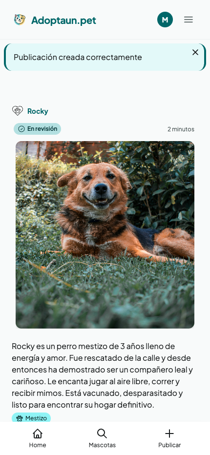 Mascota publicada con éxito